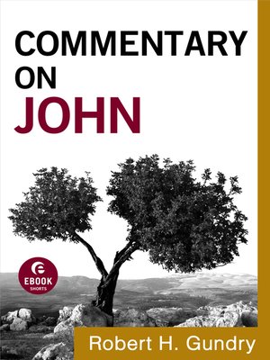 cover image of Commentary on John